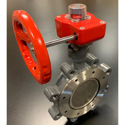 Double Offset Butterfly Valve with Worm Gear Operator